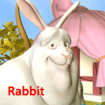 Rabbit.gif